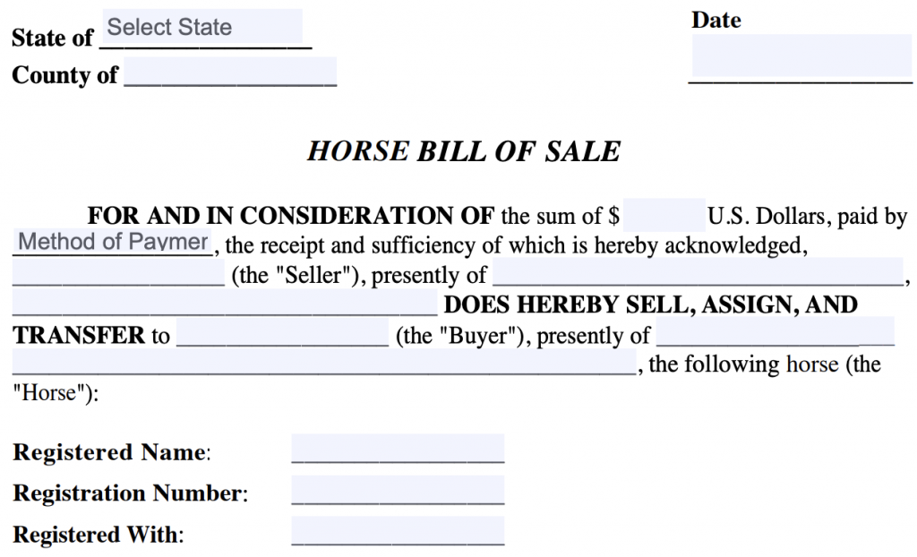 Horse bill of sale